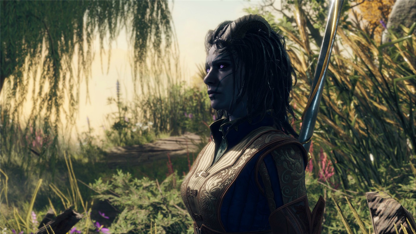 《博德之门3》v4.1.1.6805605正式版--第10张图片 《博德之门3》v4.1.1.6805605正式版--第10张图片